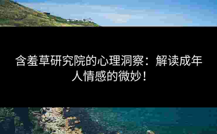 含羞草研究院的心理洞察：解读成年人情感的微妙！