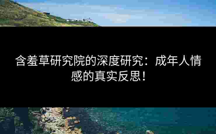 含羞草研究院的深度研究：成年人情感的真实反思！
